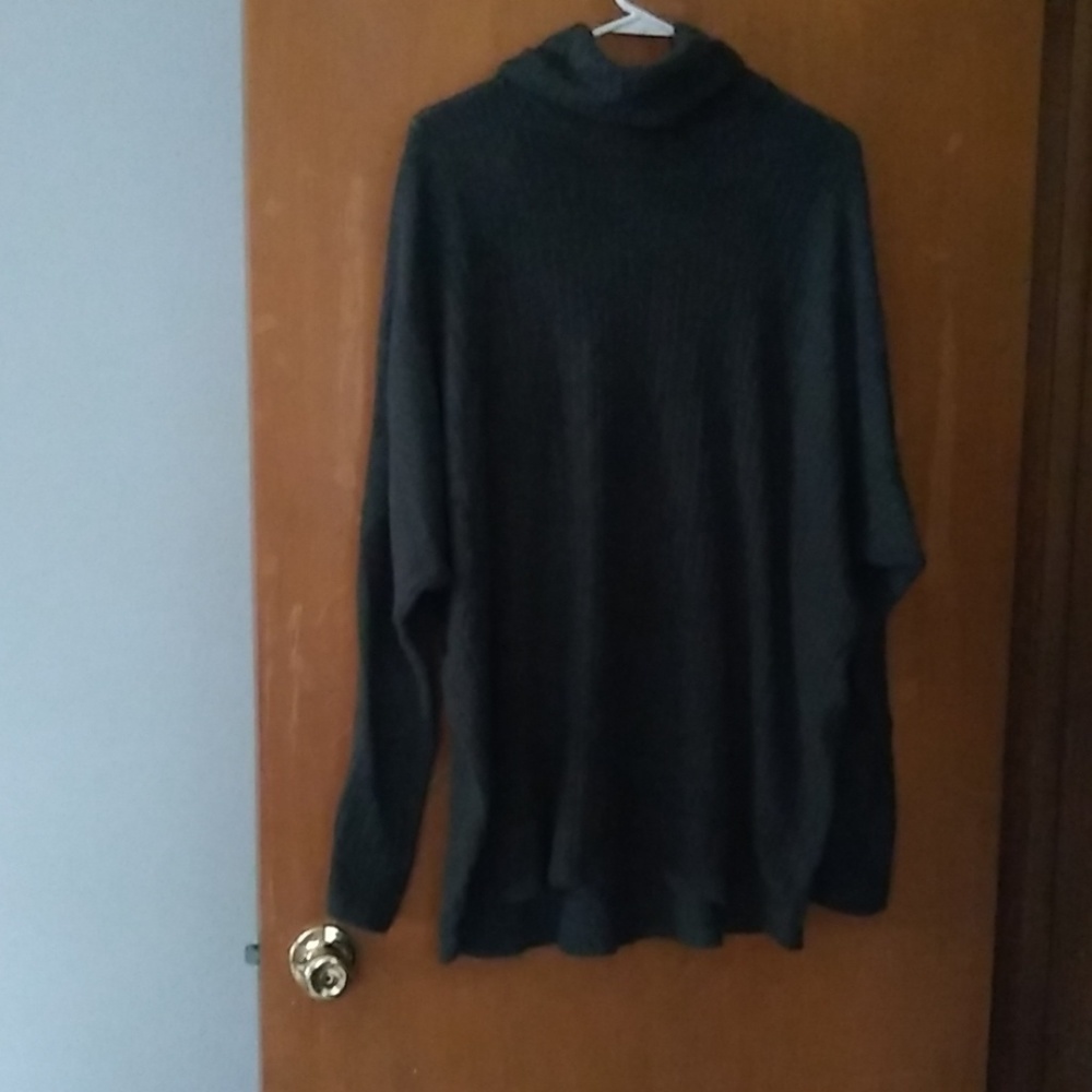 Turtle Neck Sweater